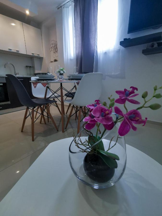 Apartment P&M بولا المظهر الخارجي الصورة